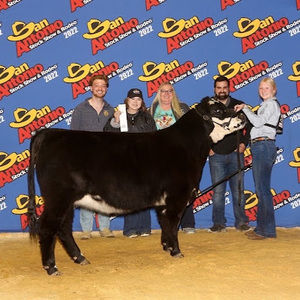 Meet your Posher, Londyn